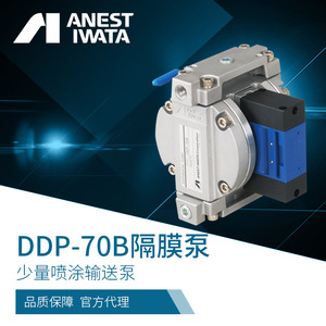 Bomba de Diafragma Doble Anest Iwata DDP-70B de Aleación de Aluminio 2L, Bomba de Transferencia de Pintura y Aceite - Product Image 3