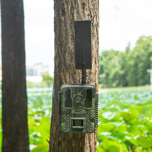 Impermeable IP67 visión nocturna Digital Wild Game Trail 4G FTP cámara de caza de Vida Silvestre cazador profesional - Product Image 6