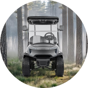 Chariot de golf électrique 150A 4 places personnalisable de couleur des prix bon marché approuvé CE - Product Image 5