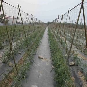 La filet de soutien pour plantes grimpantes peut aider les cultures à s'engager dans la croissance et empêcher les plantes grimpantes de ne plus <span class=keywords><strong>avoir</strong></span> <span class=keywords><strong>rien</strong></span> sur lequel s'appuyer. - Product Image 4