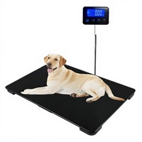 Balance électronique numérique de précision pour animaux de compagnie avec thermomètre, pour chats et chiens, recharge USB, DC 36V, grande capacité, pour usage en animalerie