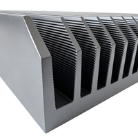 Dissipateur de chaleur d'amplificateur anodisé noir 160(L)*40(H)*300(C)mm en aluminium extrudé usiné CNC