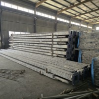 Poste de Alumbrado Público de Acero Galvanizado en Caliente Anticorrosión para Iluminación en Entornos Costeros y Difíciles, Duradero
