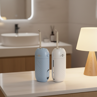 Hydropulseur dentaire portable rechargeable pour l'hygiène, étanche IPX7, souple, transparent, pour voiture et extérieur