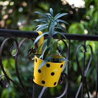 Ensemble de 10 pots de fleurs suspendus en métal galvanisé à pois avec crochet de clôture pour balcon, jardinage, seau à fleurs artificielles