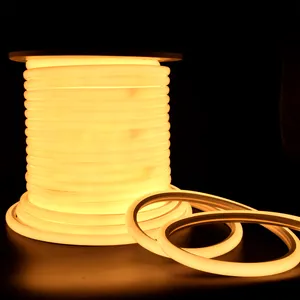 Luz de neon LED personalizada para parque temático IP65 de 100m, corpo em cobre 296P, rolo de PVC em forma de D, corte de 50-220V, 1cm, SDM2025, 80 luzes LED de neon