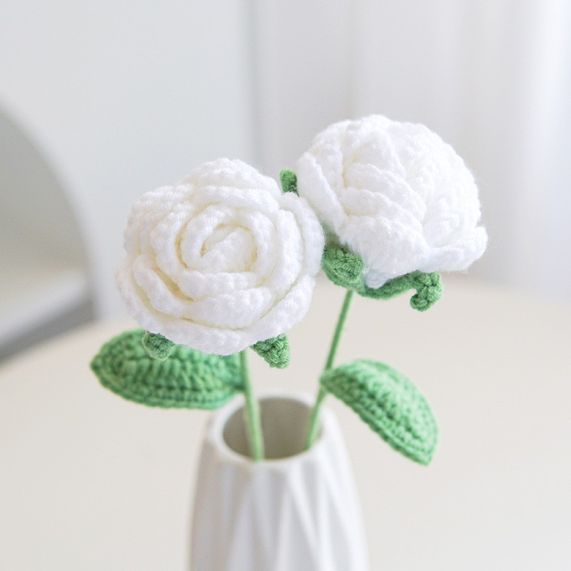 Rosa blanca