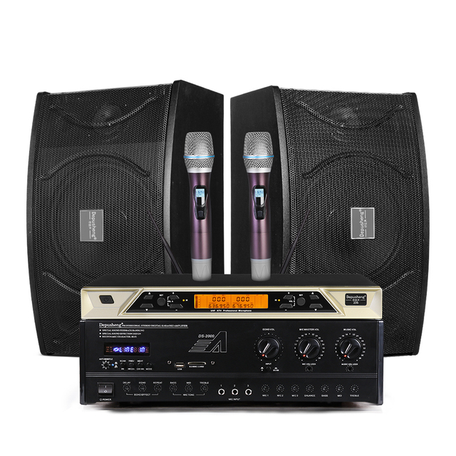 Depusheng D100 10 Inch Speaker Wireless Mic Digital Audio Processor Sound Equipment/Amplifiers/Speakers With for Stage
