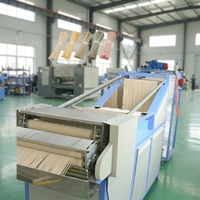 Ligne de production de nouilles séchées en bâtonnets, machine d'emballage de nouilles en bâtonnets, machine à fabriquer des nouilles en bâtonnets à base de farine de blé