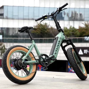 250W 750W 36V 48V 20 inç ebike yağ lastik adım elektrikli bisiklet katlanır e bisiklet 750w alüminyum alaşım elektrikli bisiklet