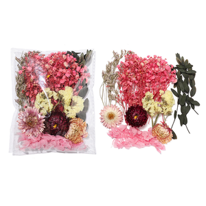 DIY en gros : Mini-mélange de fleurs séchées multicolores, <span class=keywords><strong>eucalyptus</strong></span> naturel en vrac, matériaux séchés - Product Image 4