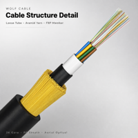 Kabel Serat Optik Udara Wolf 24 Core ADSS, Non Metalik Aramid Reinforced G652D B1 untuk Komunikasi Menara Transmisi Luar Ruangan