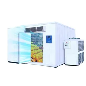 Khuyến mãi nóng cửa trượt kho coldroom cho tất cả các loại thực phẩm