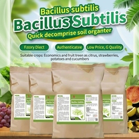 Probiotique agricole Bacillus Subtilis en poudre 25 kg, 100 milliards d'UFC/g, durée de conservation de 24 mois, favorise la nutrition et la croissance saine