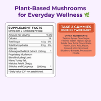 Complément alimentaire en gommes végétaliennes en gros, marque privée OEM, mélange de 7 champignons fonctionnels 2500mg pour la concentration et l'équilibre avec Ashwagandha