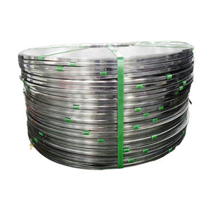 Высококачественная оцинкованная стальная лента JIS ASTM SGCC Dx51d толщиной 0,15-140 мм с быстрой доставкой напрямую с завода - Product Image 2