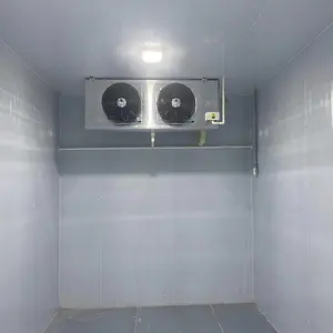 Manufacturers Support Customized Mobile Small Coldroom Mobile Mini Cold Storage Room For Fresh-keeping And Freezing