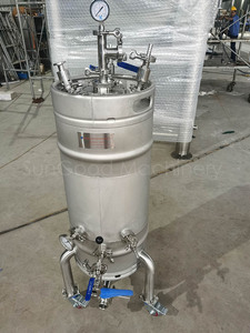 Barril de cerveza de 100L para secado Hop, barril de cerveza para sumar fruta, fermentación de la yema - Product Image 2