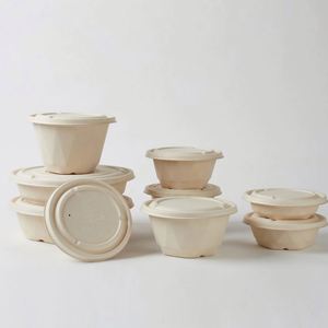 March New Trade Festival Disposable Tableware Bagasse Food Container Sugarcane <b>Bowl</b> 32oz - Product Image 1