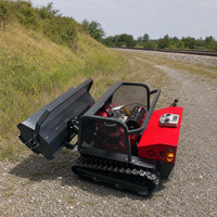 Tondeuse à chenilles diesel compacte, poids net 410 kg, largeur de travail 1000 mm, pour l'entretien des sols