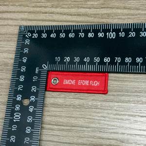 Wholesale Creative Double Sided Woven Label Keychain Carabiner Promotional Item