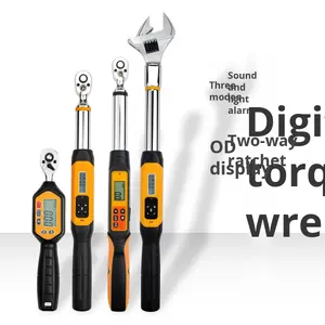 Pemanfaatan 1/2 17-340 Nm kunci pas torsi Digital, kepala kunci pas torsi Digital ratchet LED metrik dapat diganti - Product Image 2