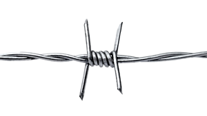Rollo <span class=keywords><strong>de</strong></span> <span class=keywords><strong>Alambre</strong></span> <span class=keywords><strong>de</strong></span> Púas Galvanizado <span class=keywords><strong>de</strong></span> Alta Calidad <span class=keywords><strong>de</strong></span> 2.5mm <span class=keywords><strong>de</strong></span> Diámetro, 25kg, Malla Soldada <span class=keywords><strong>de</strong></span> <span class=keywords><strong>Alambre</strong></span> <span class=keywords><strong>de</strong></span> Hierro, Anticorrosión, para Uso en Prisiones, en Venta - Product Image 2
