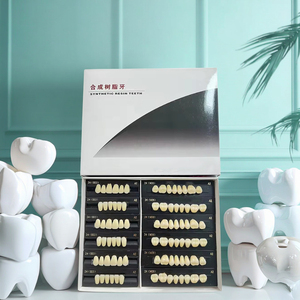 Tandheelkundige Verbruiksartikelen 3 Volledige Mondsets Twee Lagen 28*1 Kunststof Tanden Prothese Kunstgebit - Product Image 2