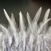 Fourniture d'usine : Ruban de plumes de coq naturelles à pointe, garniture en plumes de hackle de poulet pour accessoires vestimentaires de carnaval et de fête