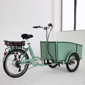 Bicicleta Eléctrica retro de carga, de aluminio, de alta calidad, de 500w, Estilo vintage - Product Image 5