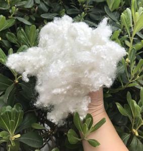 <span class=keywords><strong>Fibra</strong></span> siliconada 7d 15d 64mm HCS <span class=keywords><strong>fibra</strong></span> de poliester - Product Image 4