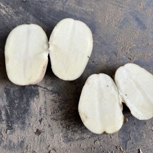 2025 nouvelle culture <span class=keywords><strong>pomme</strong></span> <span class=keywords><strong>de</strong></span> <span class=keywords><strong>terre</strong></span> <span class=keywords><strong>pomme</strong></span> <span class=keywords><strong>de</strong></span> <span class=keywords><strong>terre</strong></span> fraîche vente en gros <span class=keywords><strong>pomme</strong></span> <span class=keywords><strong>de</strong></span> <span class=keywords><strong>terre</strong></span> fraîche - Product Image 5