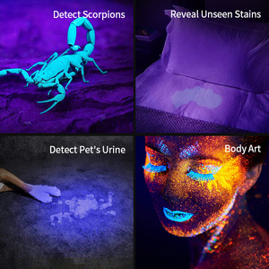 14 Năm Nhà Máy Kinh Nghiệm 365nm <span class=keywords><strong>UV</strong></span> <span class=keywords><strong>Torch</strong></span> Ánh Sáng Mini Sạc <span class=keywords><strong>LED</strong></span> 395nm <span class=keywords><strong>UV</strong></span> Đèn Pin - Product Image 5