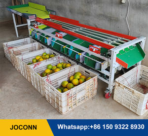 Machine <span class=keywords><strong>de</strong></span> classement d'agrumes olive fruits myrtille avocat trieuse trieuse pomme <span class=keywords><strong>de</strong></span> terre tomate - Product Image 3