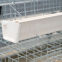 Cages à poules pour élevage, cages en batterie pour poules pondeuses, poulaillers d'élevage, cages de couvaison pour poulets reproducteurs