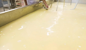 Usine de traitement du lactosérum entièrement automatisée avec contrôle PLC pour la production de lactose, de protéines de lactosérum et de poudre de lactosérum déminéralisé - Product Image 2