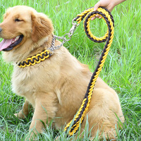 Ensemble collier et laisse pour chien en nylon tressé robuste de couleur personnalisée, ensemble de chaînes durables, laisse et collier pour chien réfléchissants de luxe et résistants