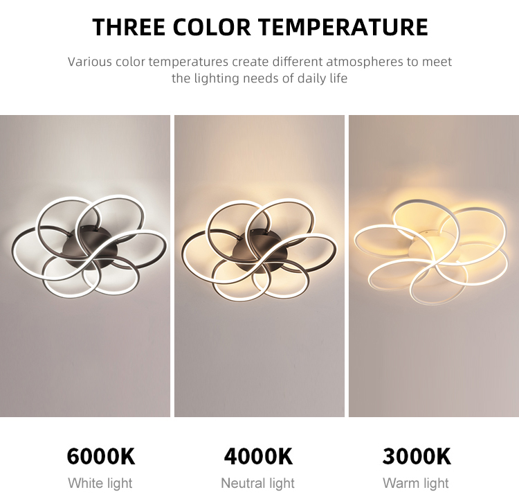Fashion European Black White Dining Room Ceiling Flush Mount Bedroom Modern Led Ceilign Lamp