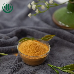 Extrait <span class=keywords><strong>de</strong></span> 55% <span class=keywords><strong>de</strong></span> polyphénols hautement concentré, poudre <span class=keywords><strong>de</strong></span> thé vert, caféine naturelle, produit <span class=keywords><strong>de</strong></span> remplacement du <span class=keywords><strong>café</strong></span> - Product Image 3
