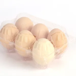 도매 친환경 일회용 투명 PET 물집 투명 플라스틱 폴더 형 계란 트레이