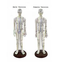 Herramienta de Entrenamiento del Cuerpo Humano para Acupuntura Codificada, con Certificación CE/ISO, para Hombres y Mujeres, Práctica, TCM