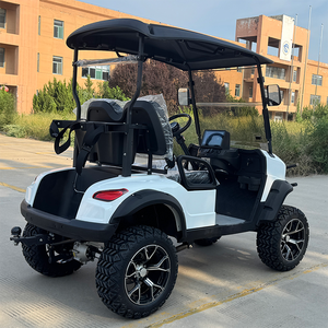 Voiturette de golf 4 places à vendre, 72V Lithium, sièges confortables personnalisés disponibles - Product Image 2
