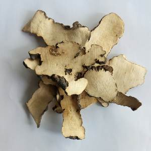 Coupes séchées naturelles sauvages Grifola <span class=keywords><strong>umbellata</strong></span> Pilat bien séchées Grifola <span class=keywords><strong>umbellata</strong></span> à vendre - Product Image 6