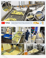 Industriële frietfreesapparatuur van Chinese leverancier met een goede prijs voor 200 kg per uur