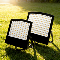 Projecteurs LED Woojong homologués ETL, projecteurs à haut lumen populaires, projecteurs extérieurs étanches IP65, lampes LED en aluminium moulé sous pression