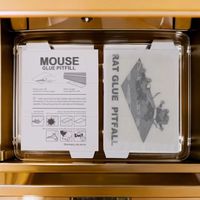 Piège à rongeurs pré-appâté non toxique, plaques adhésives solides écologiques pour le contrôle des rongeurs, sécurité intérieure/ Cuisine, 288 pièces en vrac
