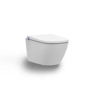 Ceramic Sanitary Ware Floor Standing Shower Toilet Bathroom Hygienic Intelligent Toilet Seat European Stylish Electronic Toilet