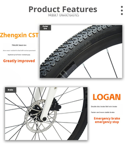 Vélo de route en aluminium léger de 10,8 kg, 700C, fourche rigide en fibre de carbone, 4100-10 vitesses avec réglages multiples - Product Image 3