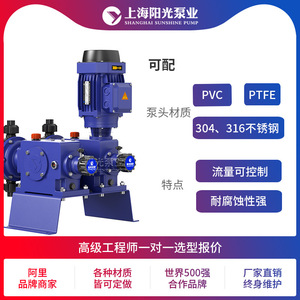 ปั๊มสูบจ่ายสารเคมีแบบไดอะแฟรม รุ่น DJ-X2 ของ Shanghai Sunshine Pump Industry ความจุ 480 ลิตร/ชั่วโมง ปั๊มจ่ายสารเคมีแรงดันสูง - Product Image 5
