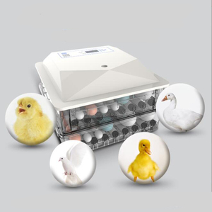 Incubateur entièrement automatique intelligent pour poussins, <span class=keywords><strong>semis</strong></span>, canards, oies, incubateur domestique, incubateur pour pigeons, perroquets, fabricant <span class=keywords><strong>d</strong></span>'œufs - Product Image 4